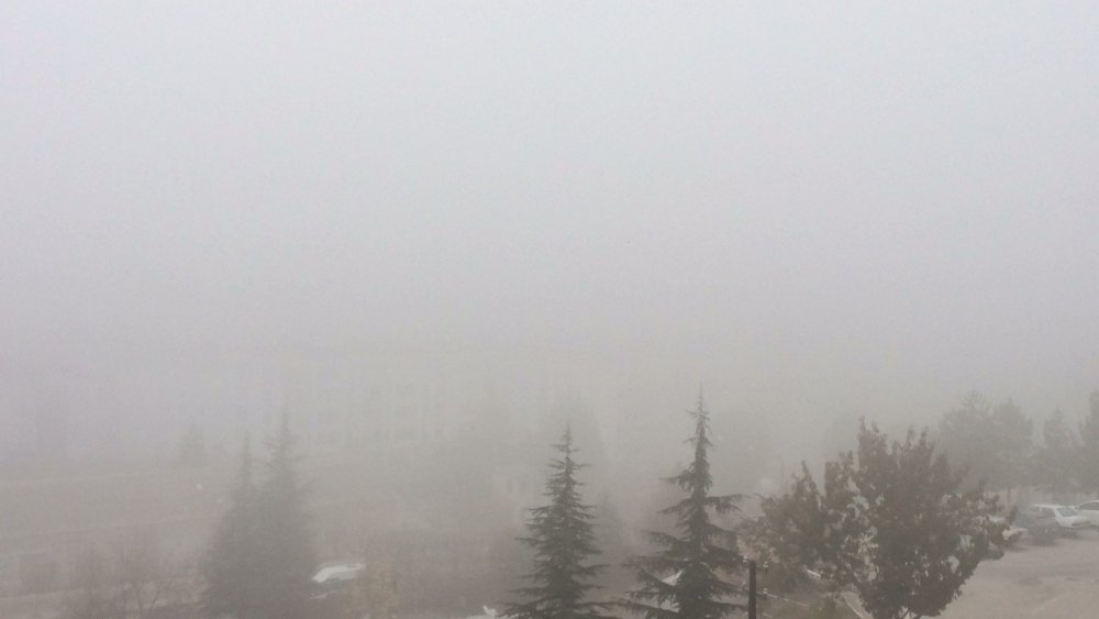 Haber Detay Görseli