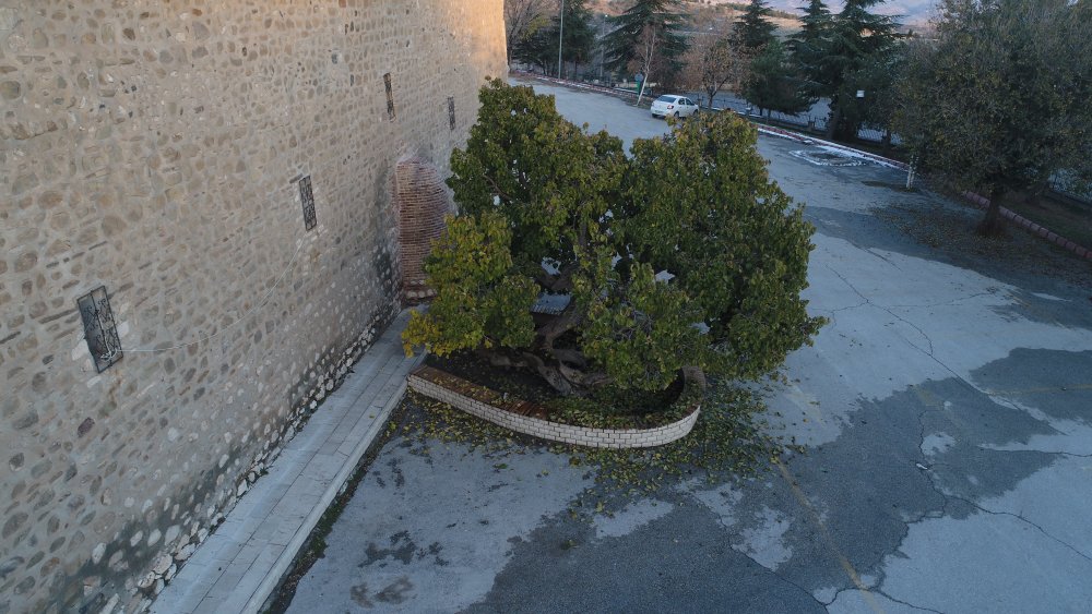 Haber Detay Görseli