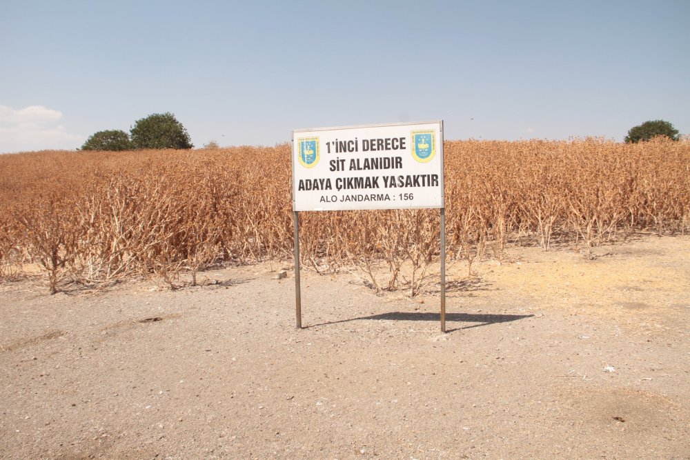 Haber Detay Görseli