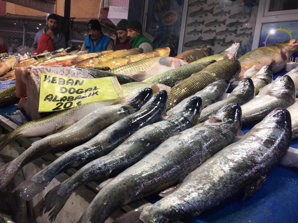 Haber Detay Görseli