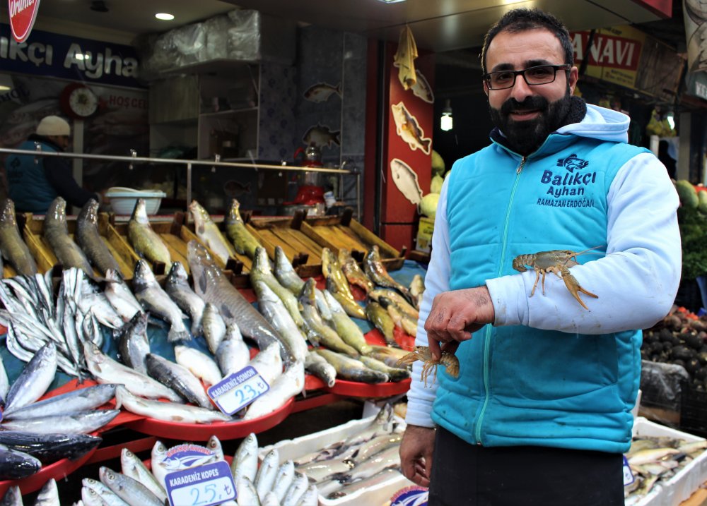 Haber Detay Görseli