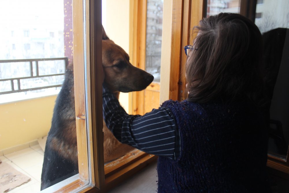 Haber Detay Görseli