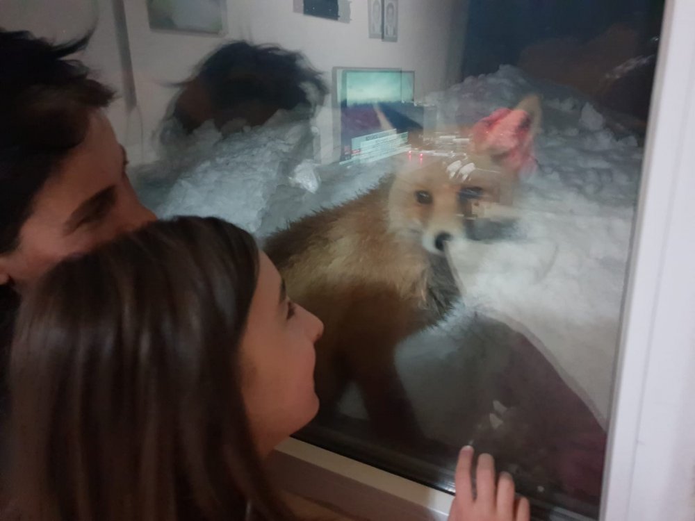 Haber Detay Görseli