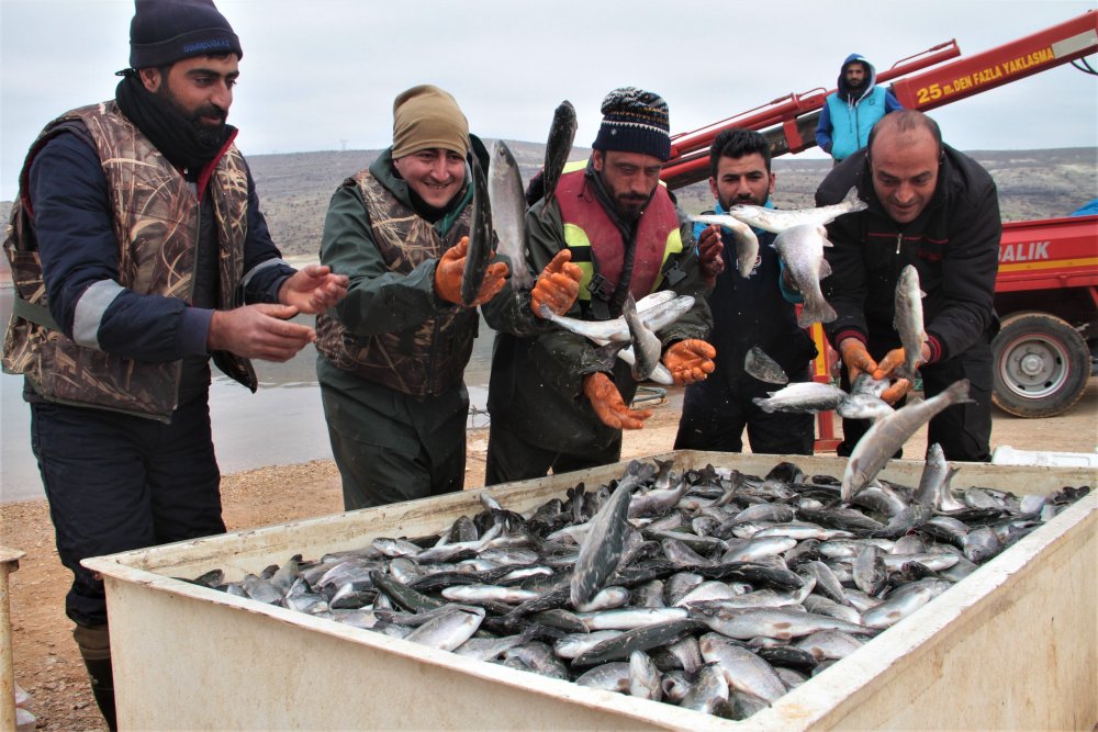 Haber Detay Görseli