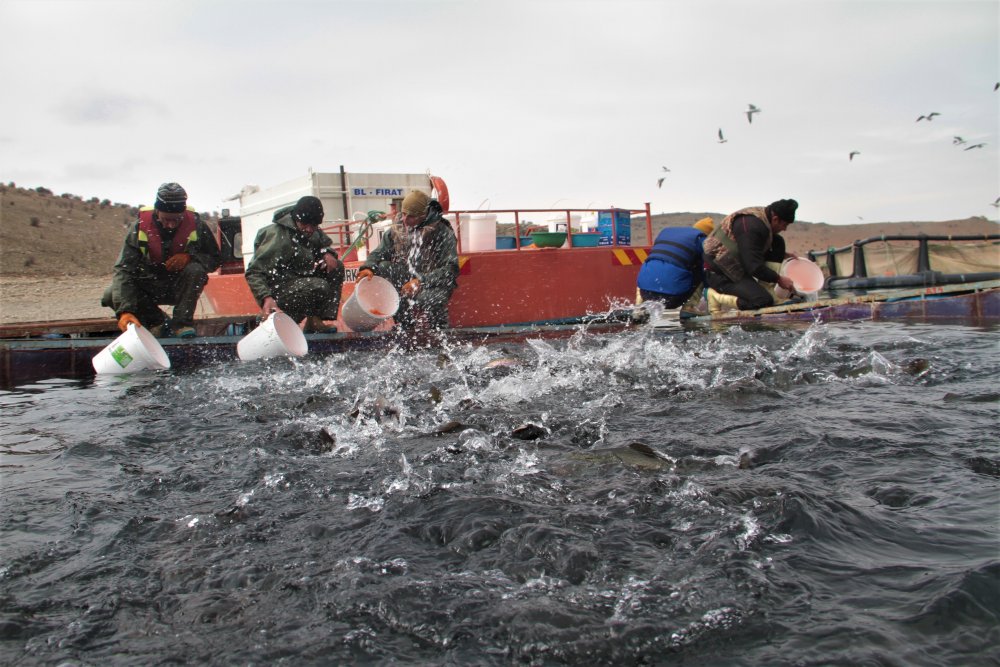 Haber Detay Görseli