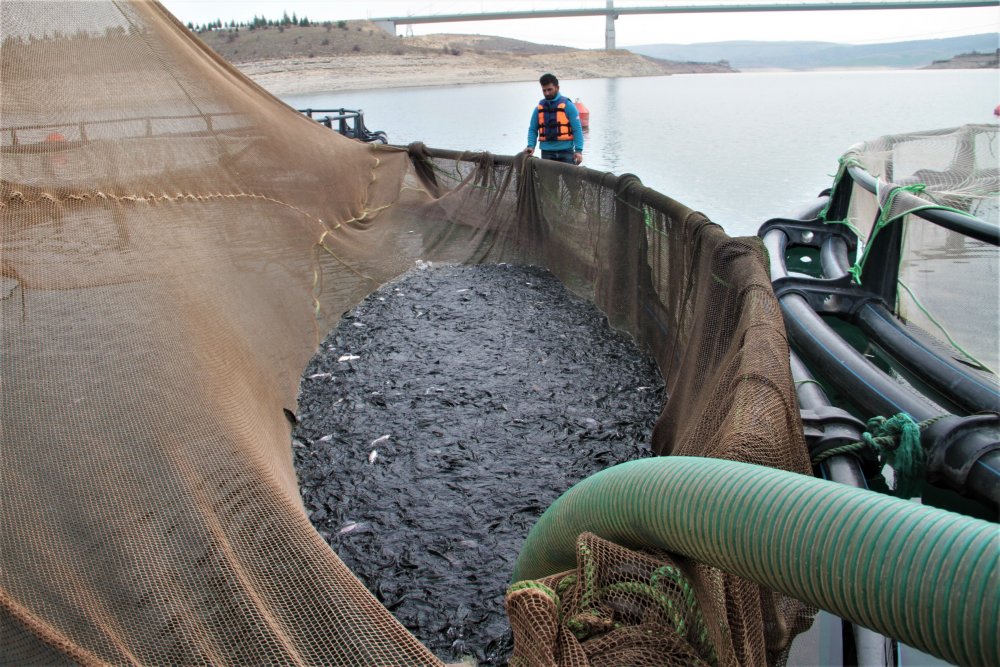 Haber Detay Görseli