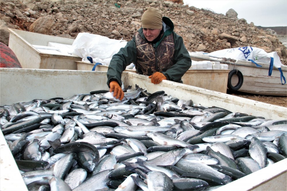 Haber Detay Görseli