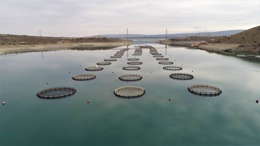 Haber Detay Görseli