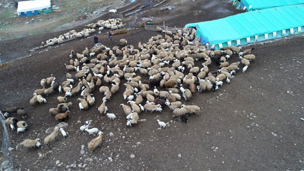 Haber Detay Görseli