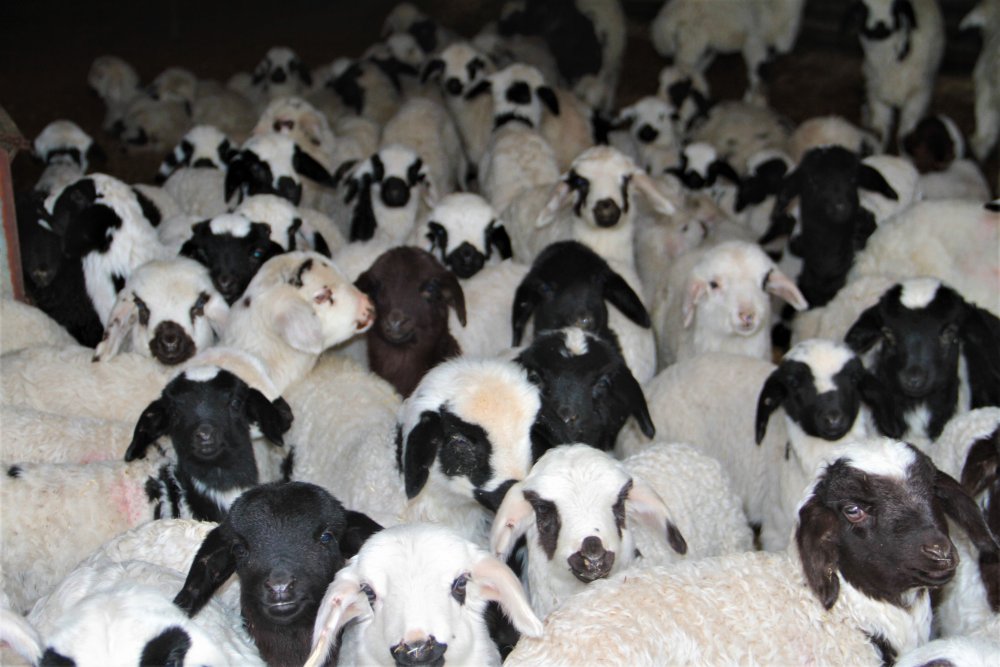 Haber Detay Görseli