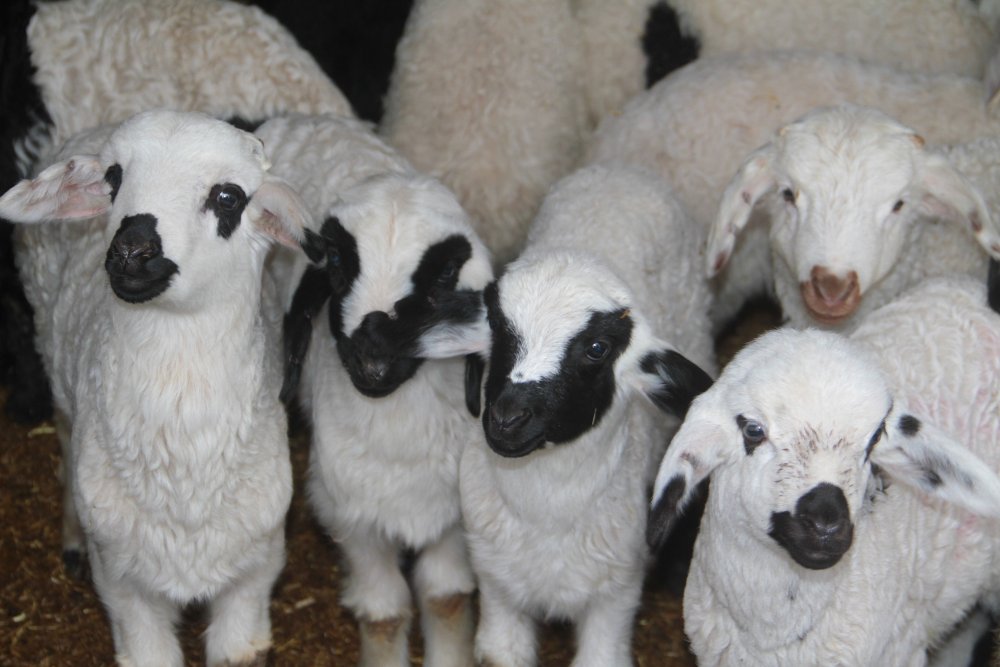 Haber Detay Görseli