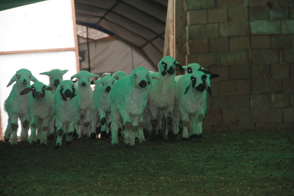 Haber Detay Görseli