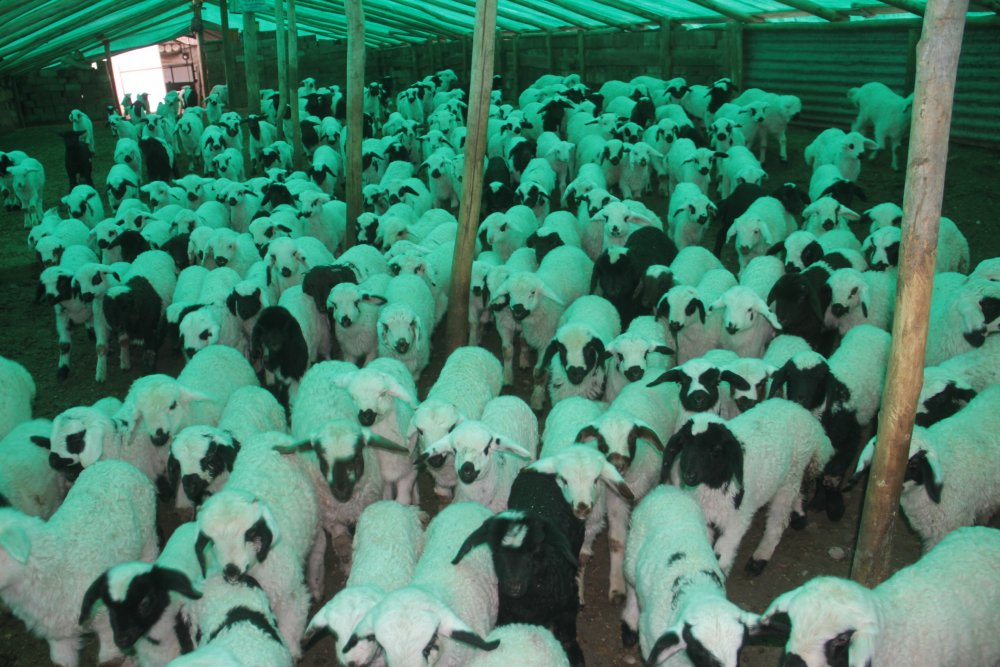 Haber Detay Görseli