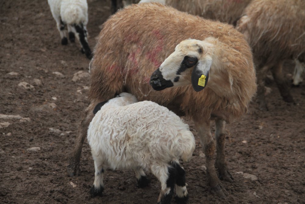 Haber Detay Görseli