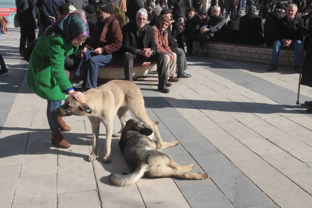 Haber Detay Görseli