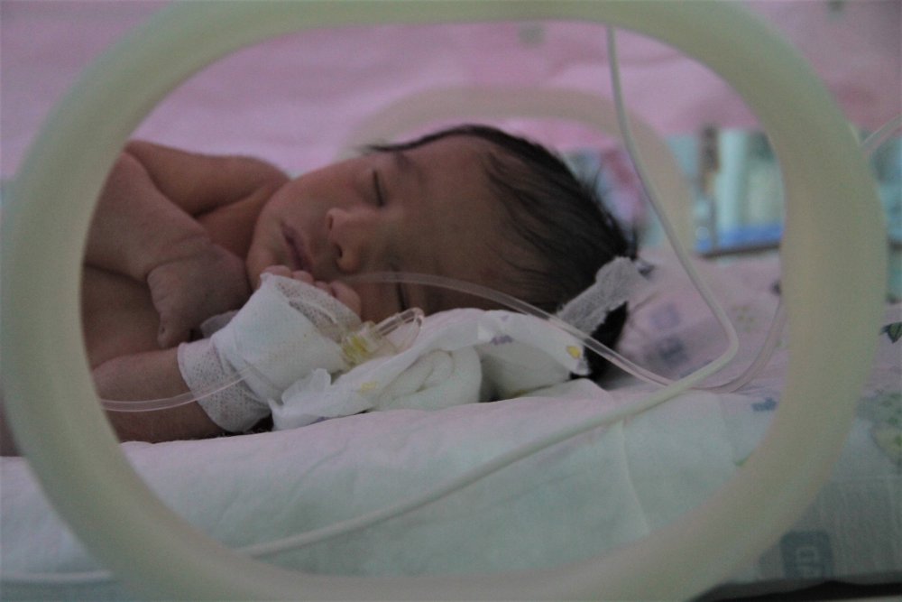 Haber Detay Görseli