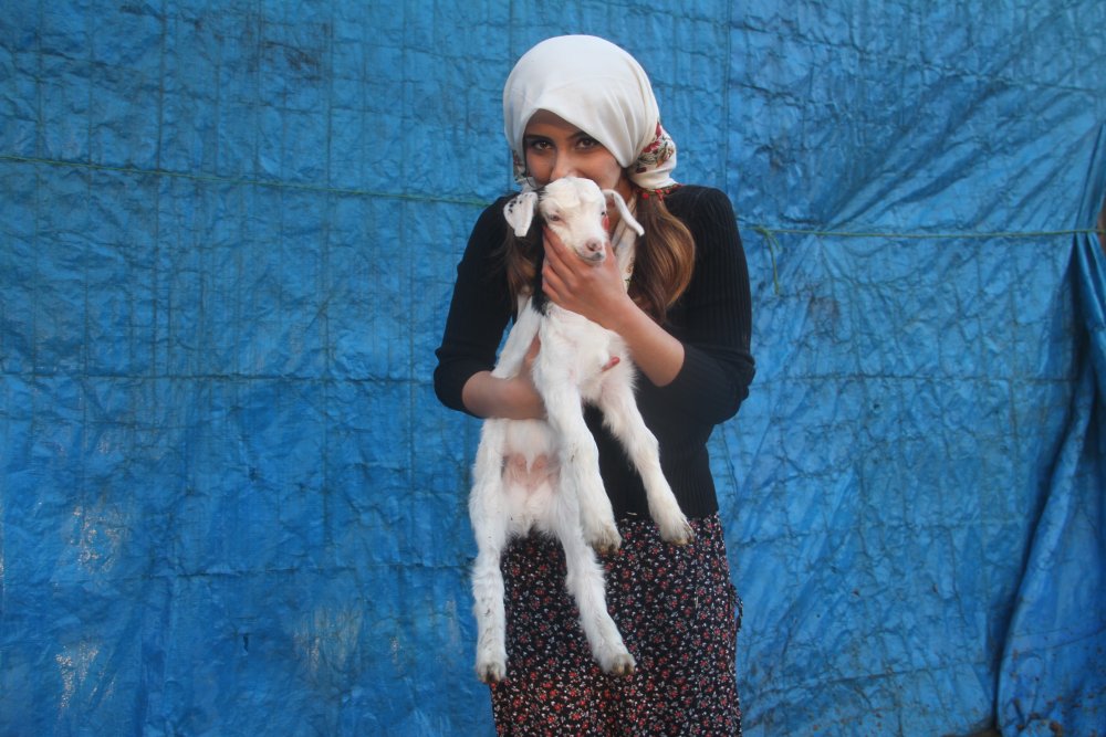 Haber Detay Görseli