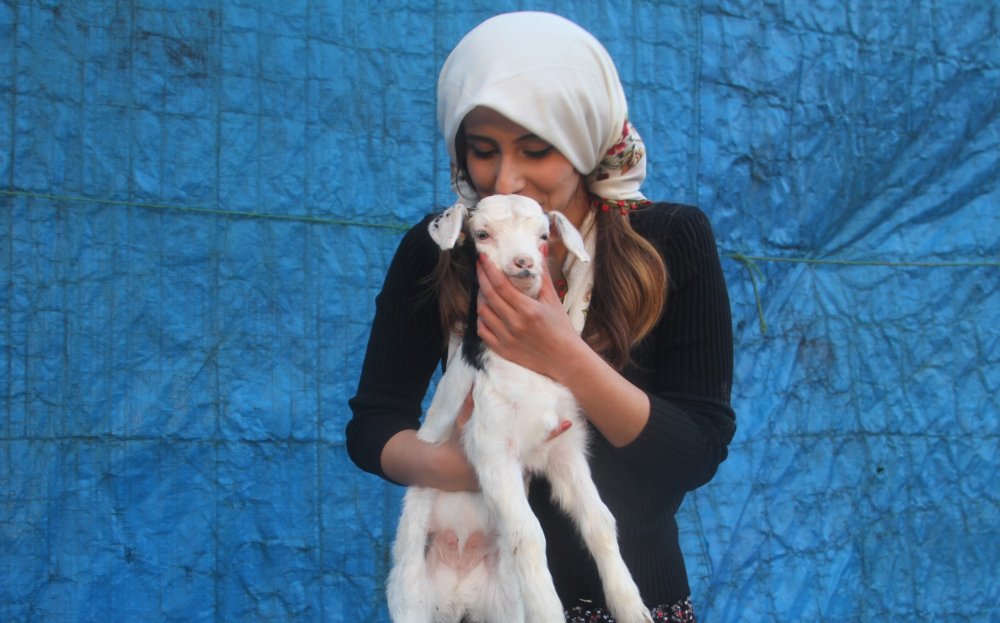 Haber Detay Görseli