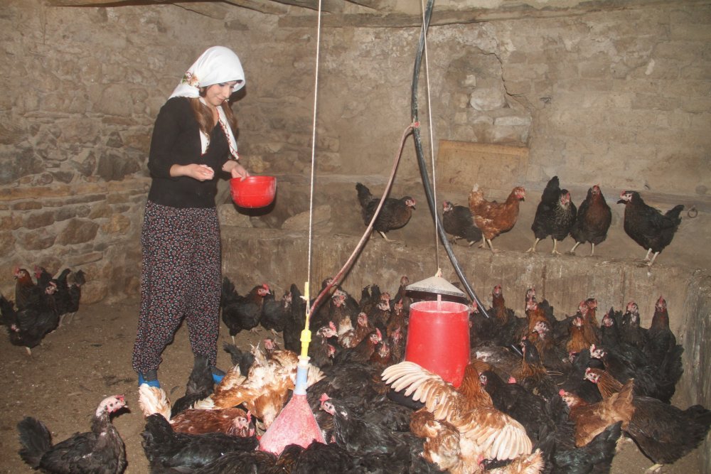 Haber Detay Görseli