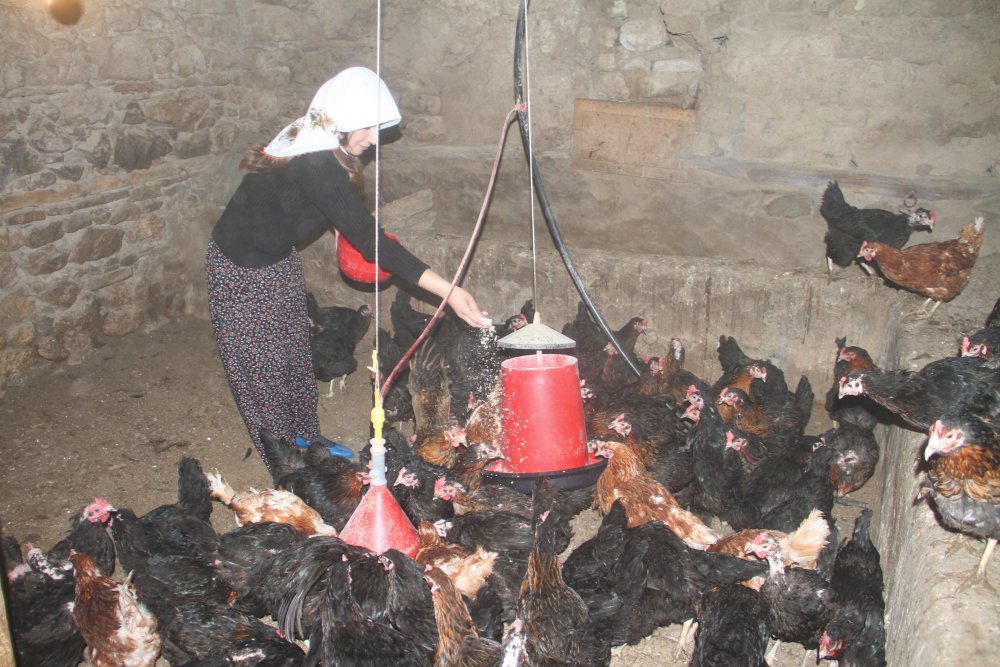 Haber Detay Görseli