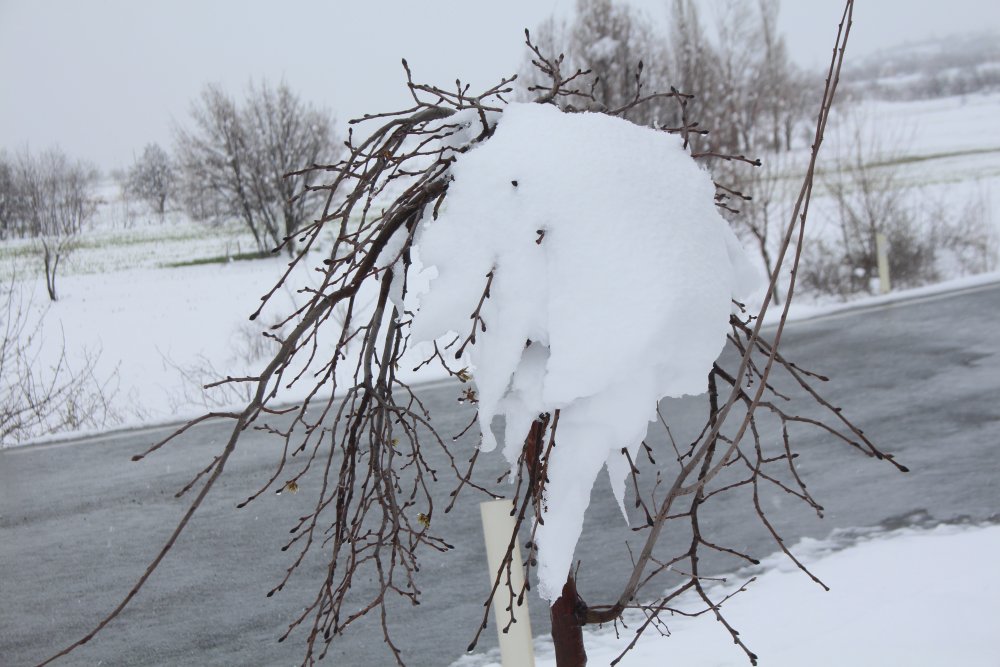 Haber Detay Görseli