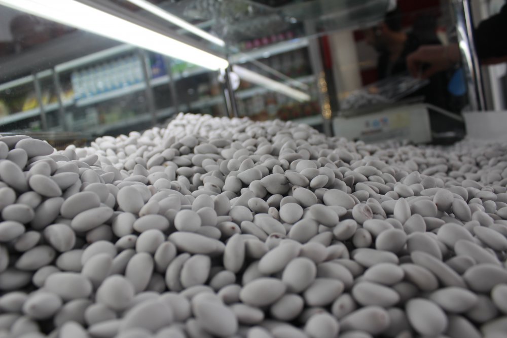 Haber Detay Görseli