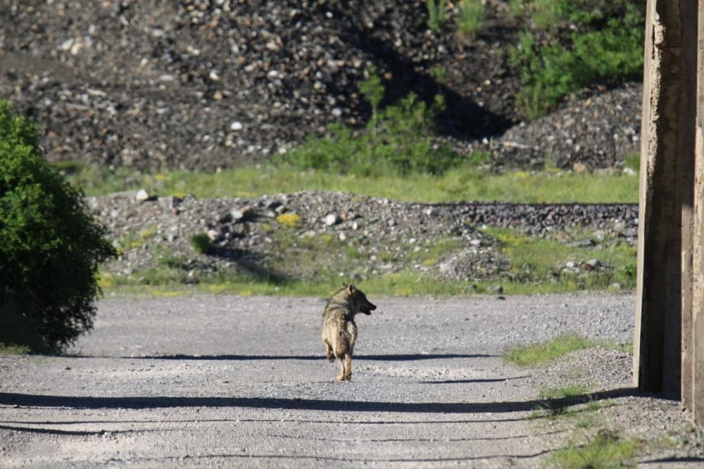 Haber Detay Görseli
