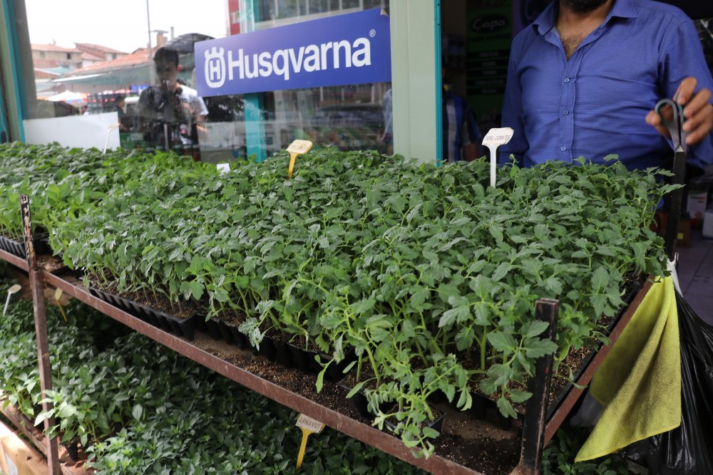 Haber Detay Görseli