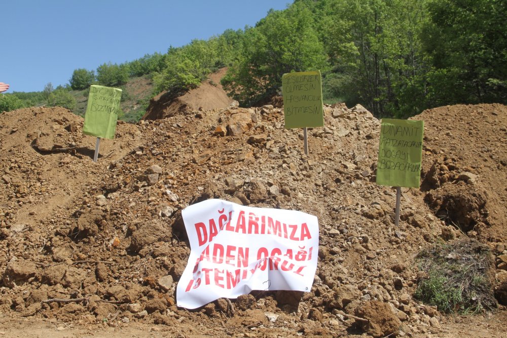 Haber Detay Görseli