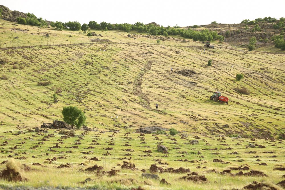 Haber Detay Görseli