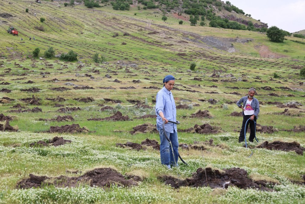 Haber Detay Görseli