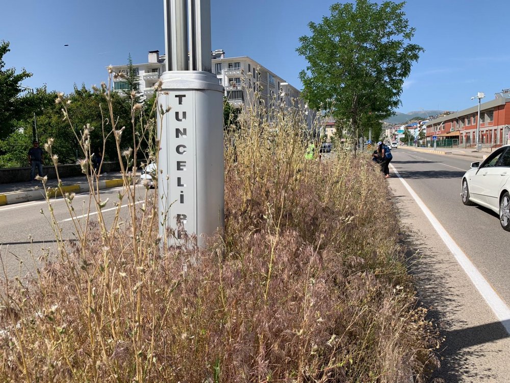 Haber Detay Görseli