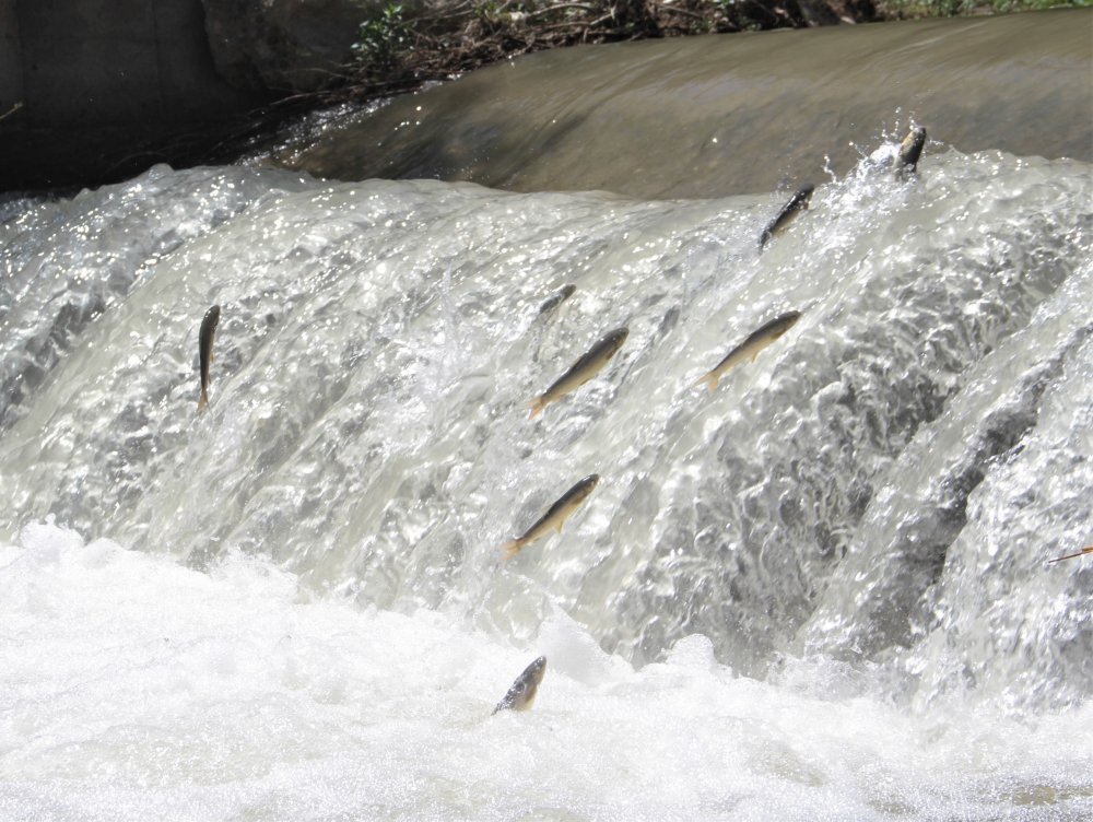 Haber Detay Görseli