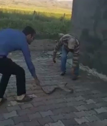 Haber Detay Görseli