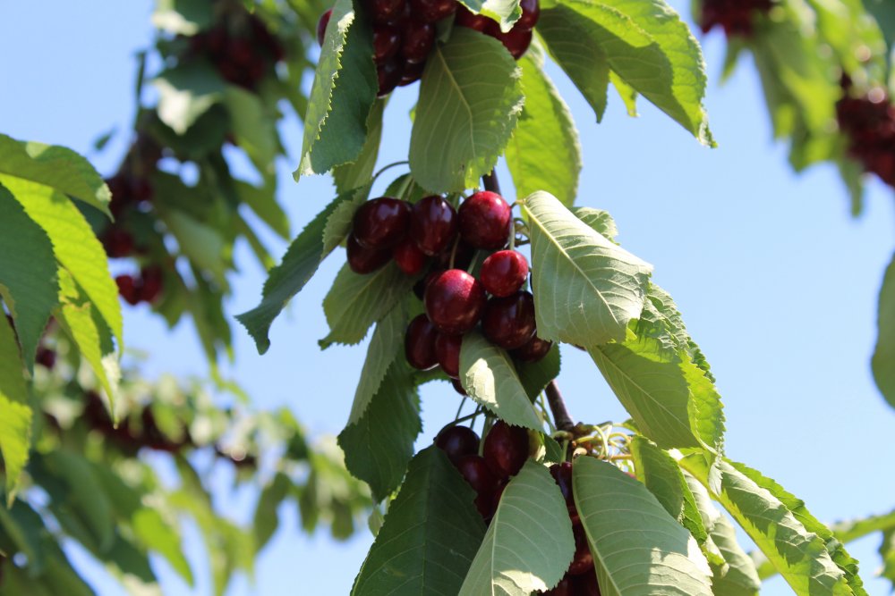 Haber Detay Görseli