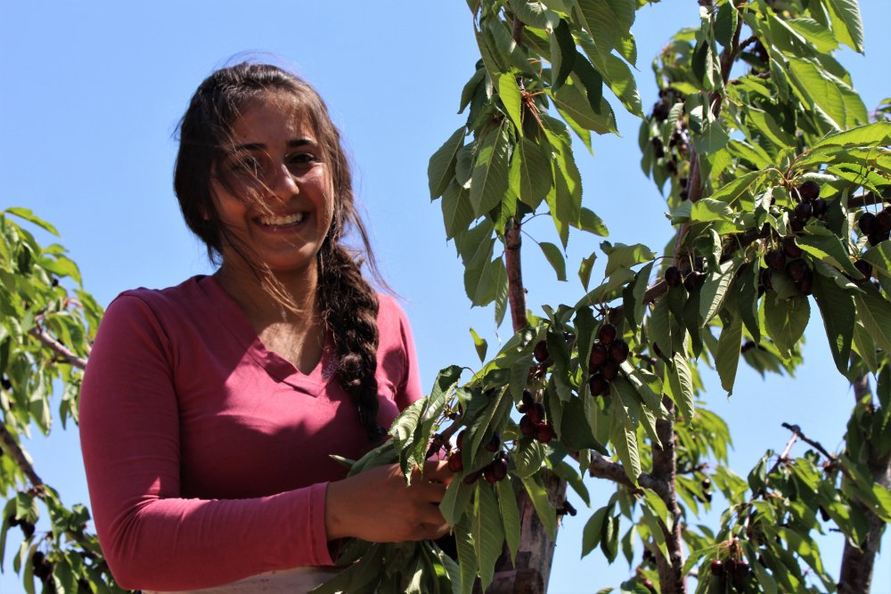 Haber Detay Görseli