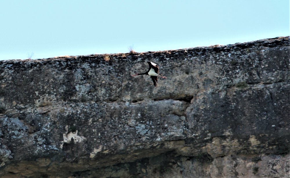 Haber Detay Görseli