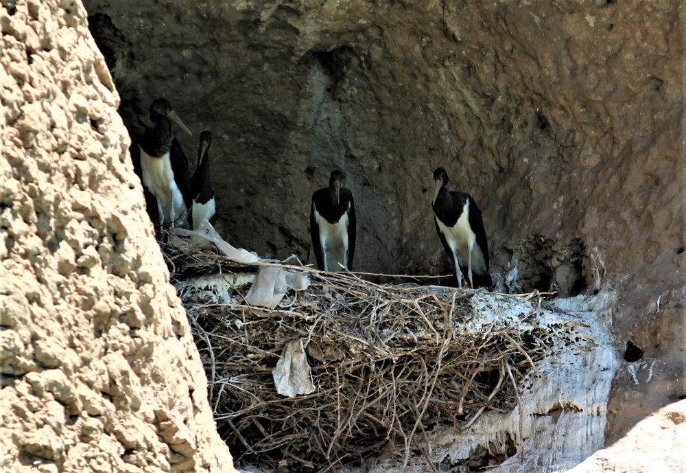 Haber Detay Görseli