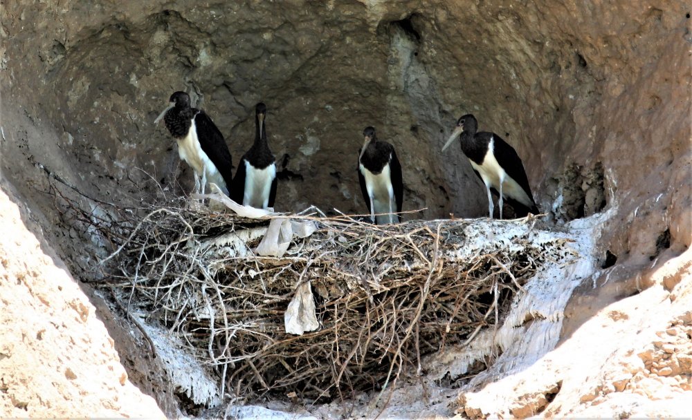 Haber Detay Görseli