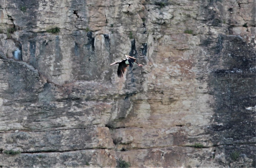 Haber Detay Görseli