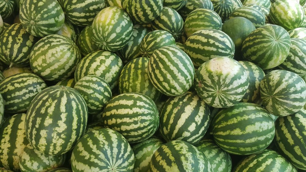 Haber Detay Görseli