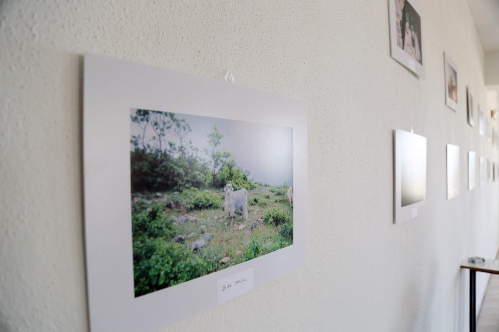 Haber Detay Görseli