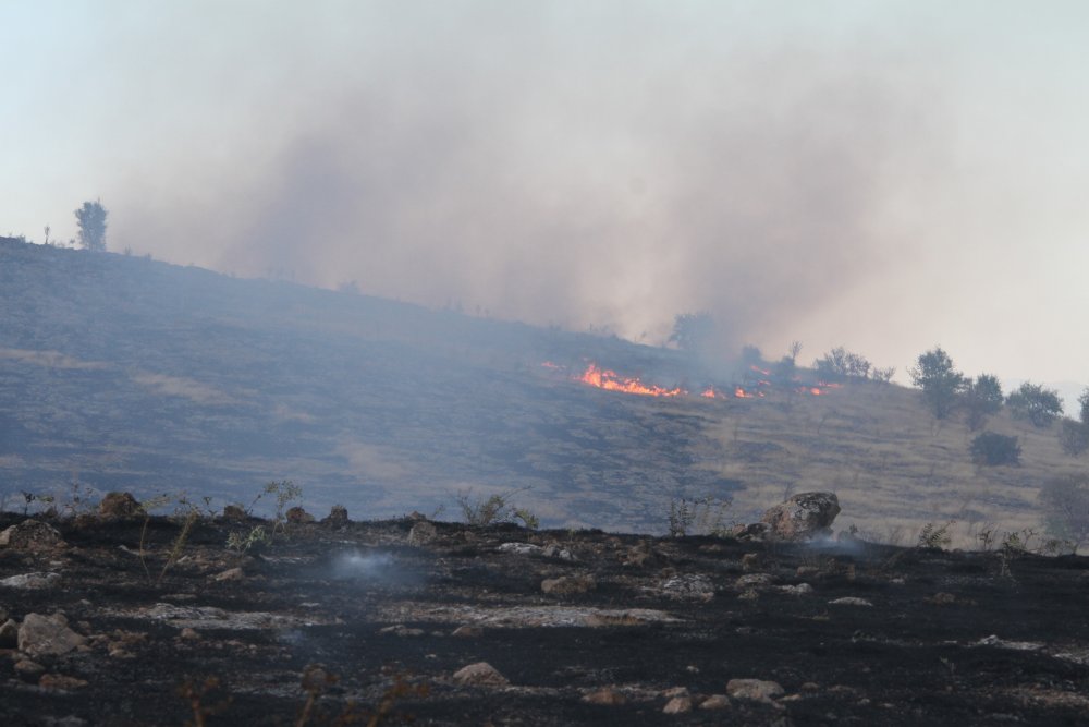 Haber Detay Görseli