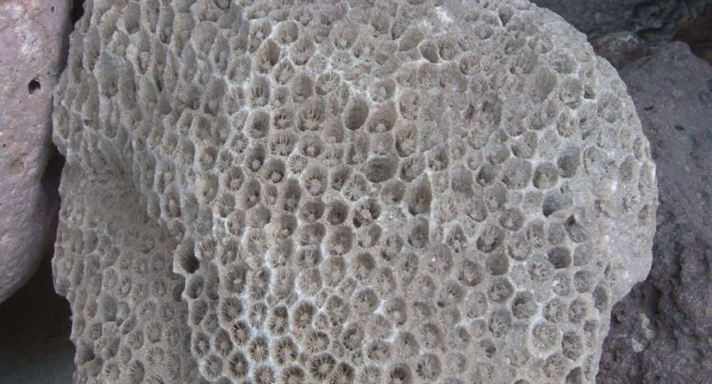 Haber Detay Görseli