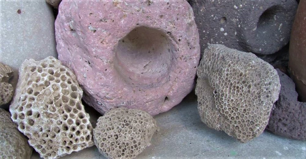 Haber Detay Görseli