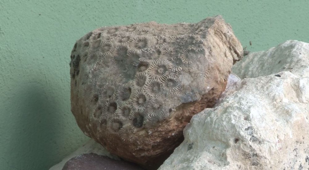 Haber Detay Görseli