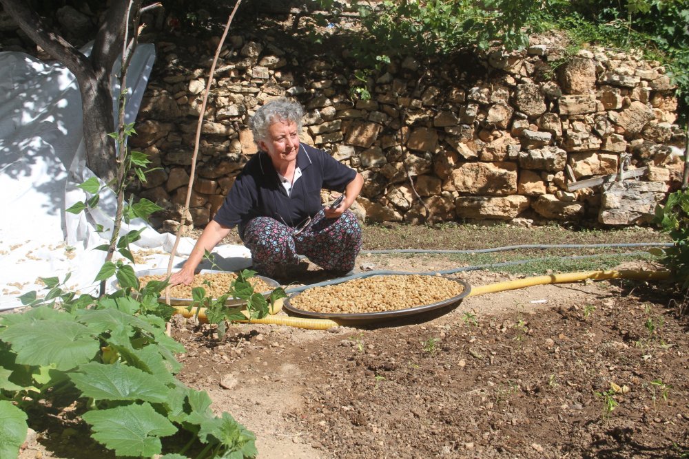 Haber Detay Görseli