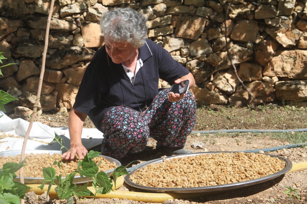 Haber Detay Görseli