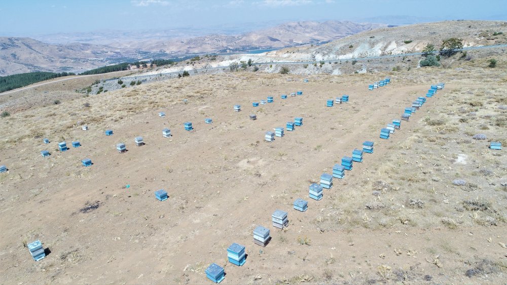 Haber Detay Görseli