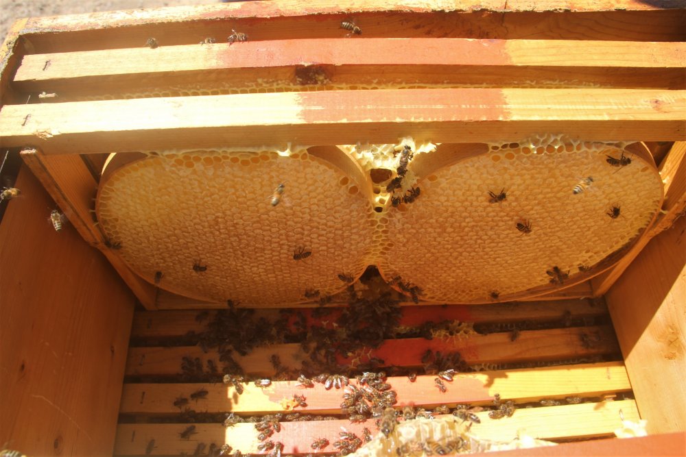 Haber Detay Görseli